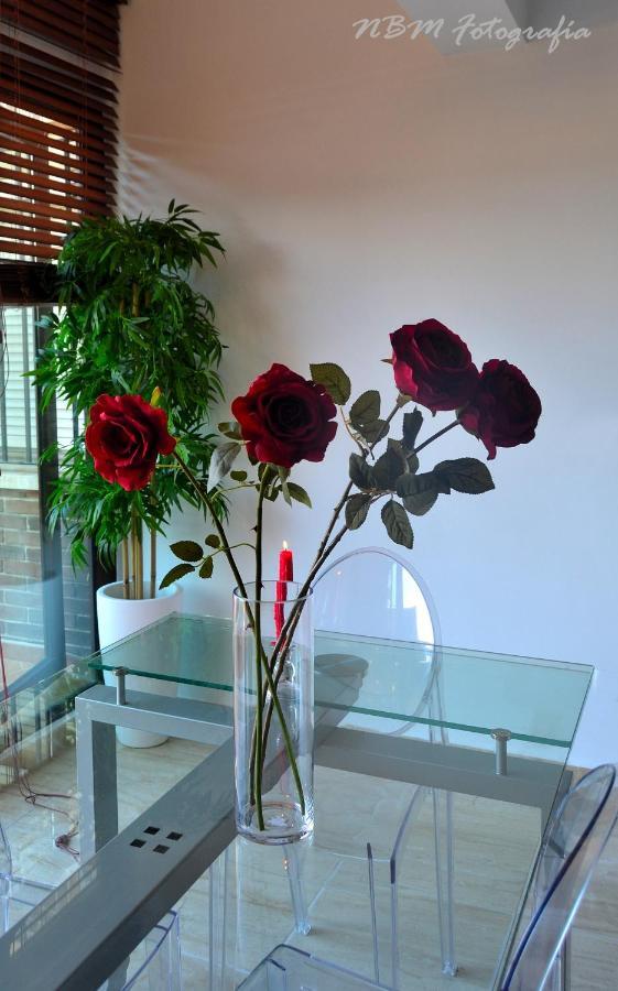 Amazing Frontal #traveller's Awards2023 Apartment